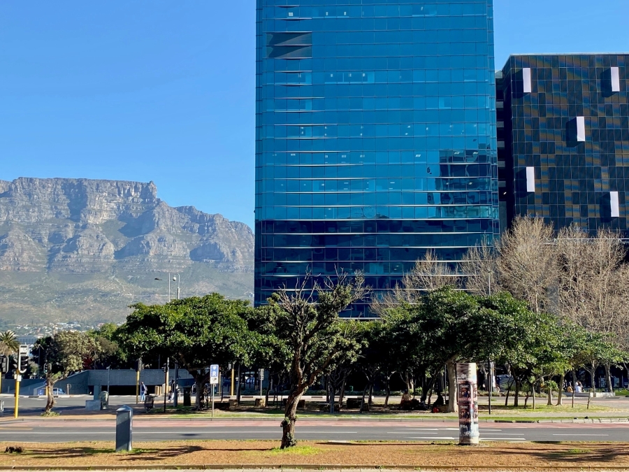 To Let Commercial Property for Rent in Cape Town City Centre Western Cape